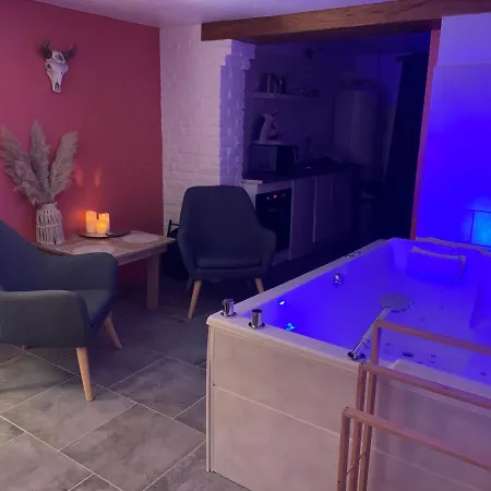 Cosy Avec Jacuzzi Privatif Et Terrasse Апартаменты *